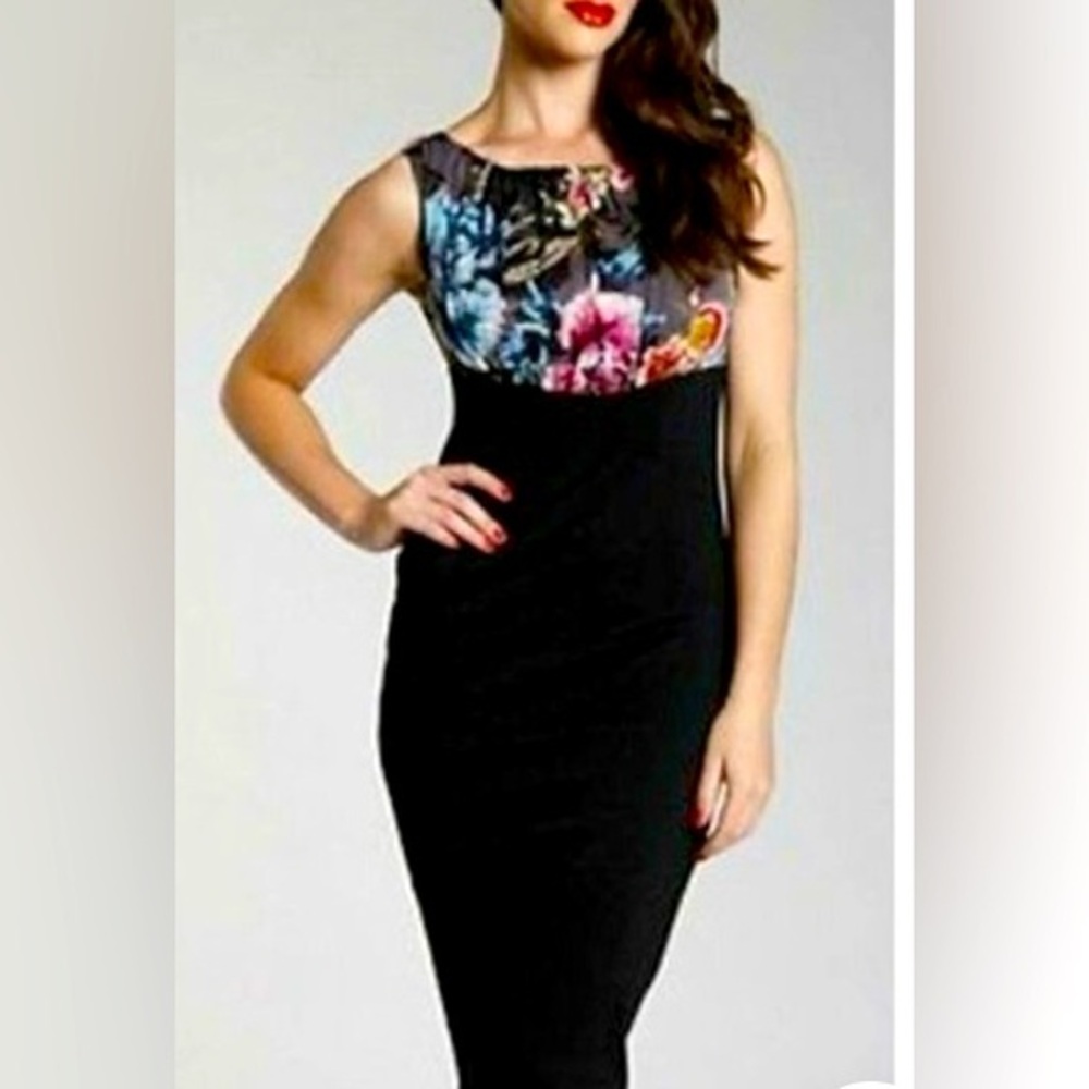 Ted Baker Floral and Black Pencil Dress, with Back Buttons, TB Size 5 (L…
